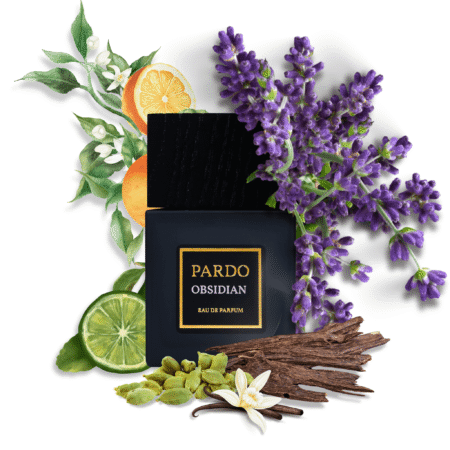 Apa de parfum Pardo Obsidian 100 ml